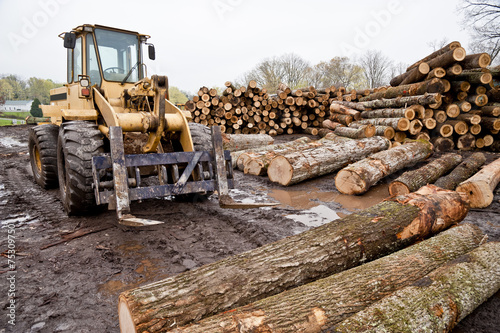 Forklift With Logs In Lumber Area