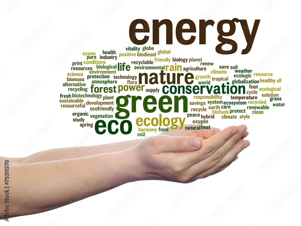 Conceptual ecology word cloud isolated Conceptual ecology word cloud isolated