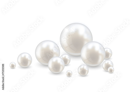 Beautiful realistic pearl set illustration vector photo