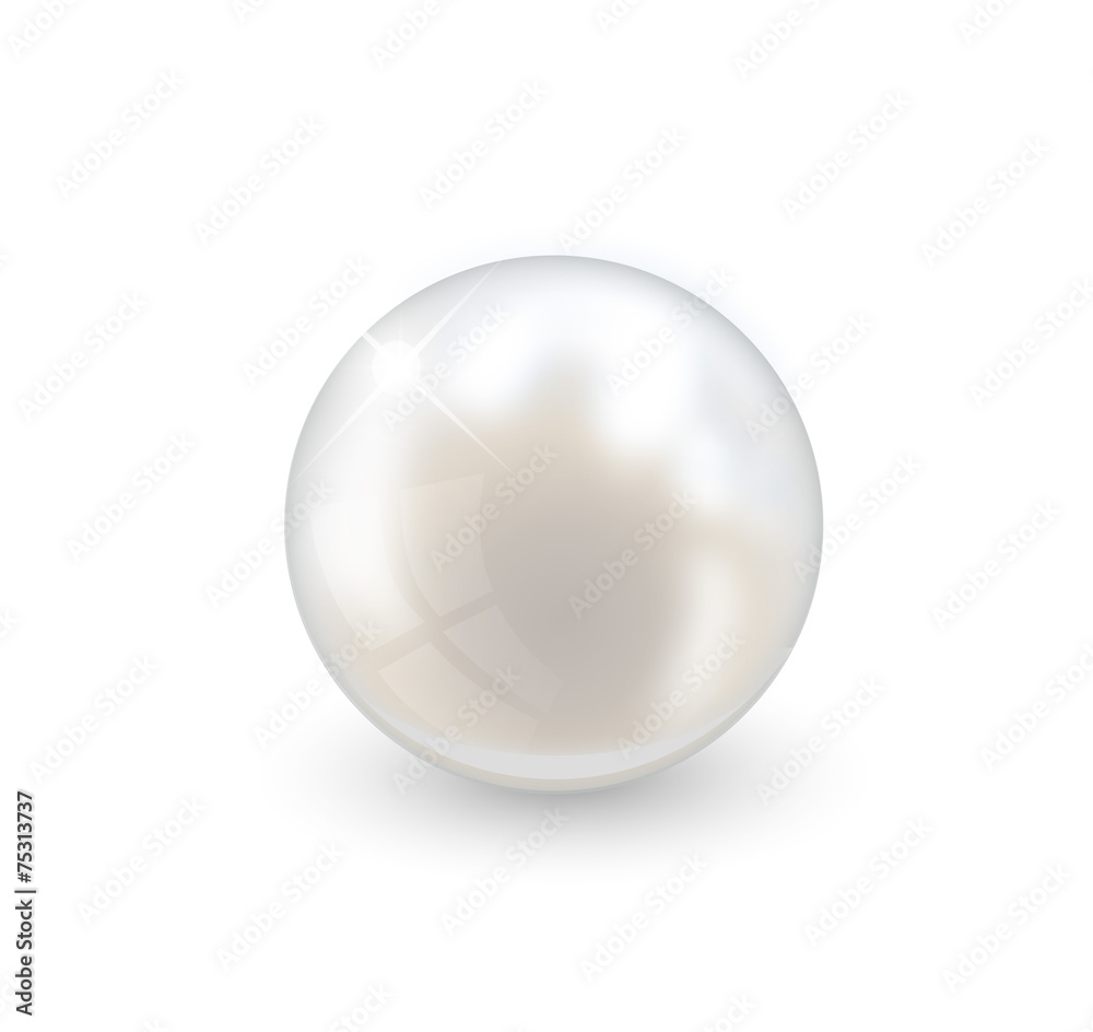 Beautiful realistic pearl illustration vector Beautiful realistic pearl illustration vector