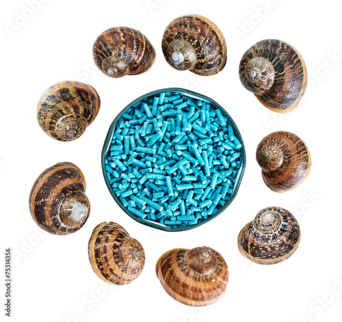 Slug pellets and snail shells isolated on white