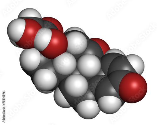 Prednisone corticosteroid drug molecule.  photo