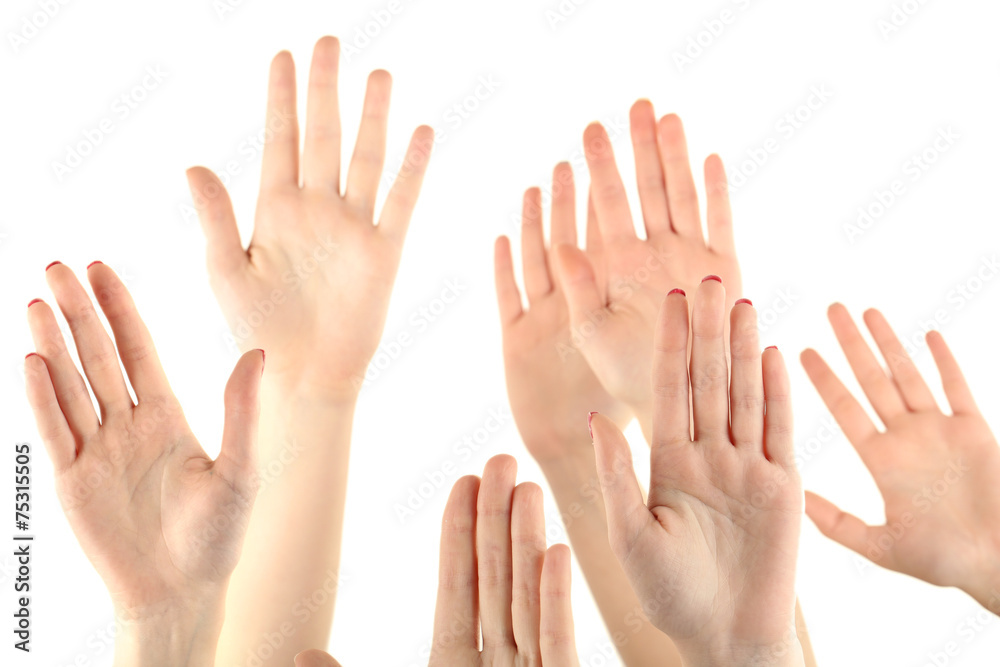 Group of people raising hands isolated on white background Group of people raising hands isolated on white background