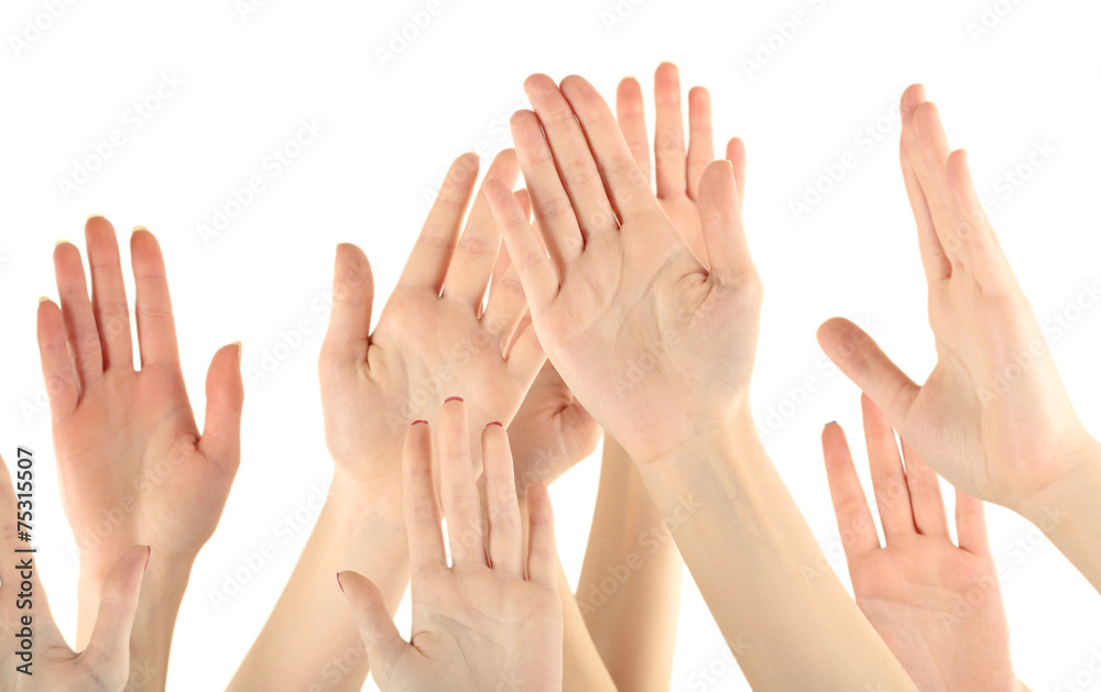 Group of people raising hands isolated on white background Group of people raising hands isolated on white background