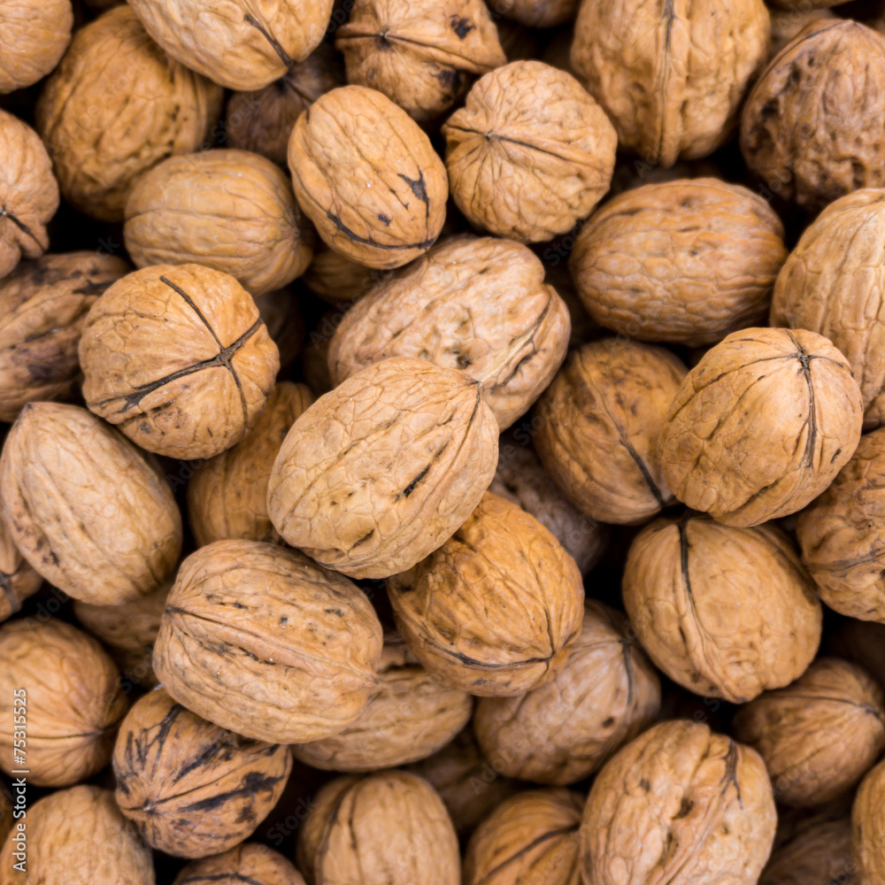 Walnut background. lot of walnuts in the peel Walnut background. lot of walnuts in the peel