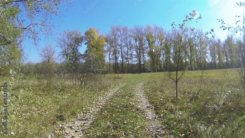 Car go on dirt rural road. POV FPV stabilized clip Car go on dirt rural road. POV FPV stabilized clip