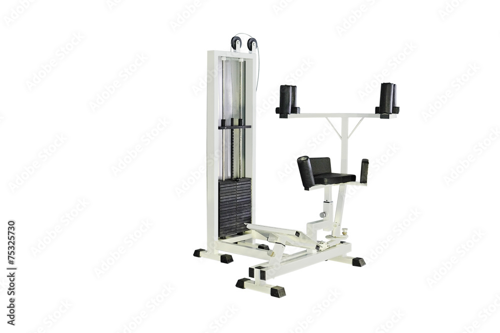 gym apparatus under the white background gym apparatus under the white background