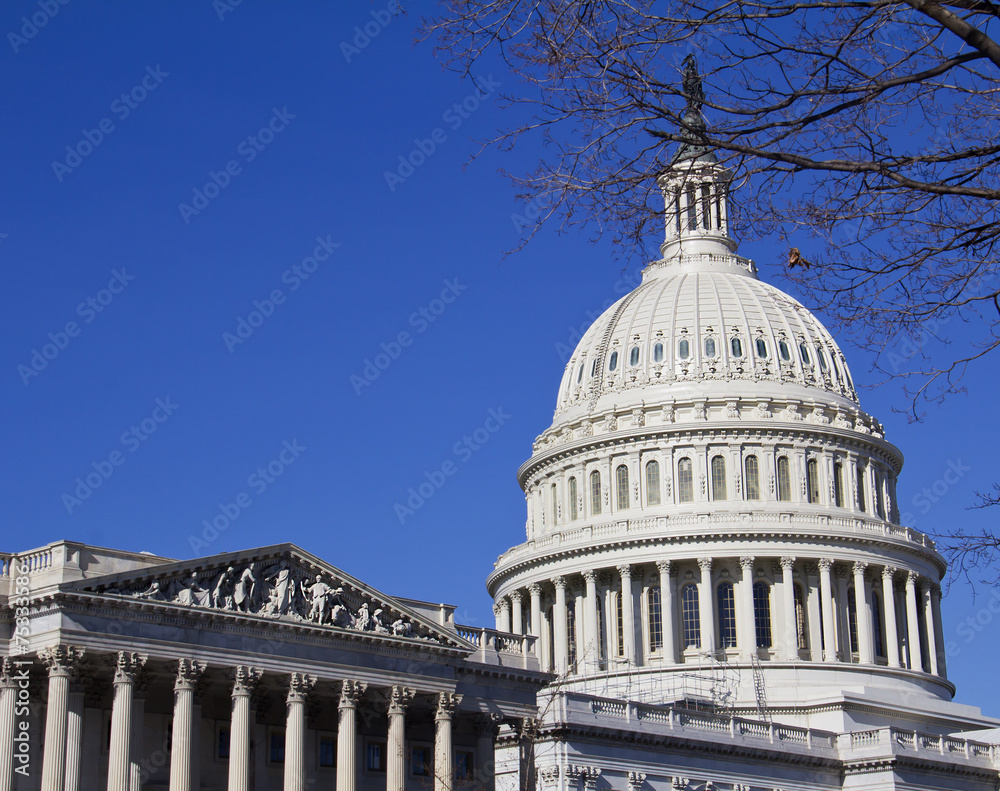 Naklejka premium US Capitol, Washington DC USA
