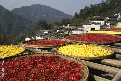 Canvas Print wuyuan,the most beautiful village in China