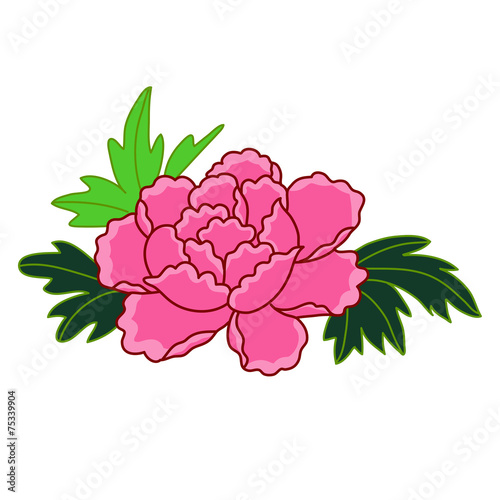 pink flower isolated illustration