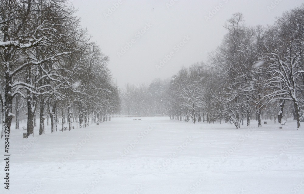 snow in the park