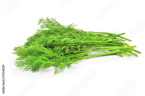 Fresh branches of green dill isolated on white