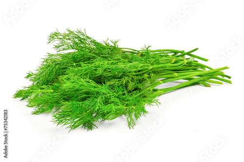 bunch dill herb isolated on white background