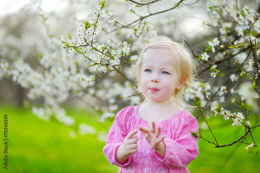 Adorable toddler girl in blooming cherry garden Adorable toddler girl in blooming cherry garden