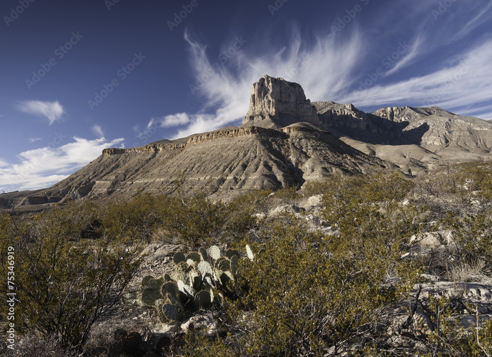Fototapeta premium Guadalupe Mountains National Park
