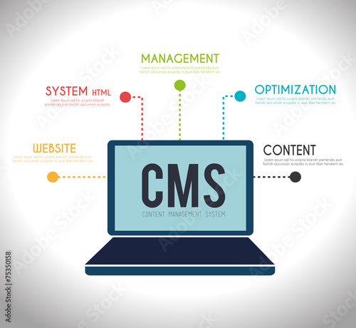 CMS design over white background vector illustration