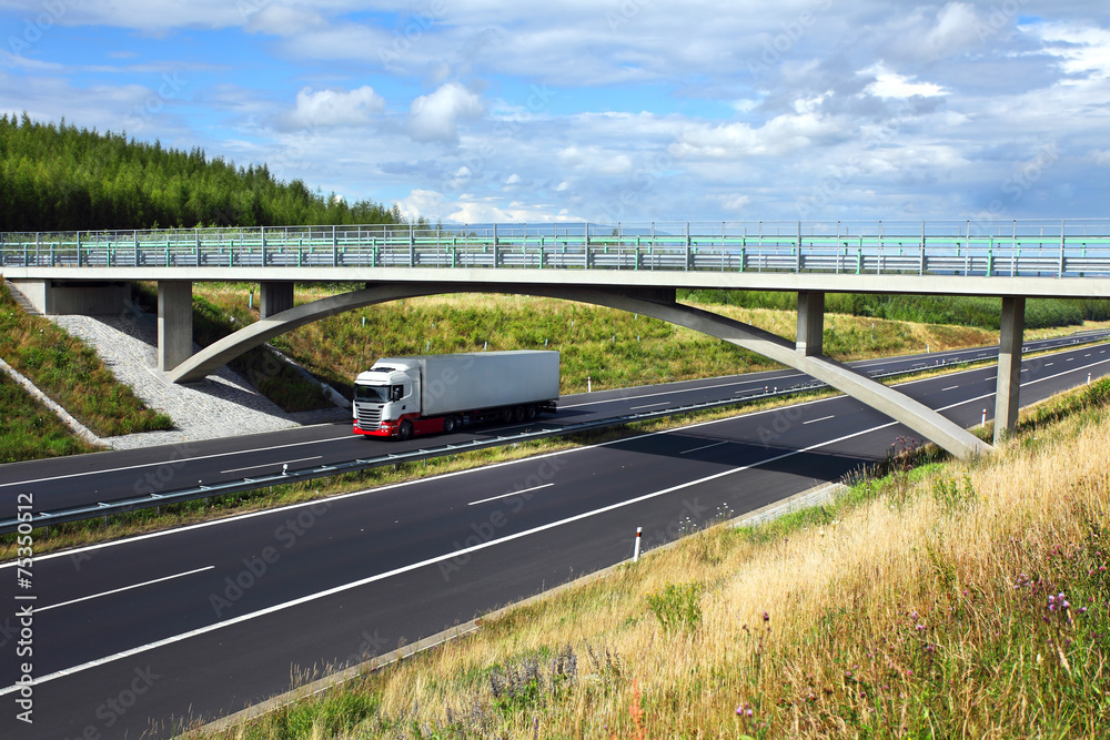 Fototapeta premium Truck on the road
