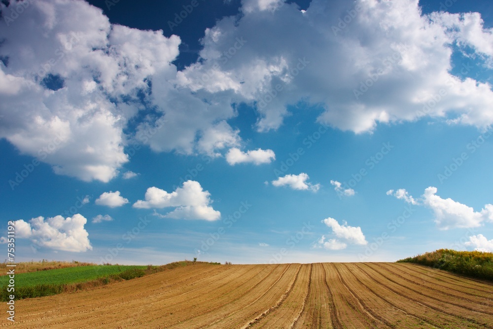 Summer Sky