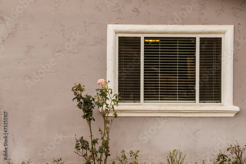 Exterior Window
