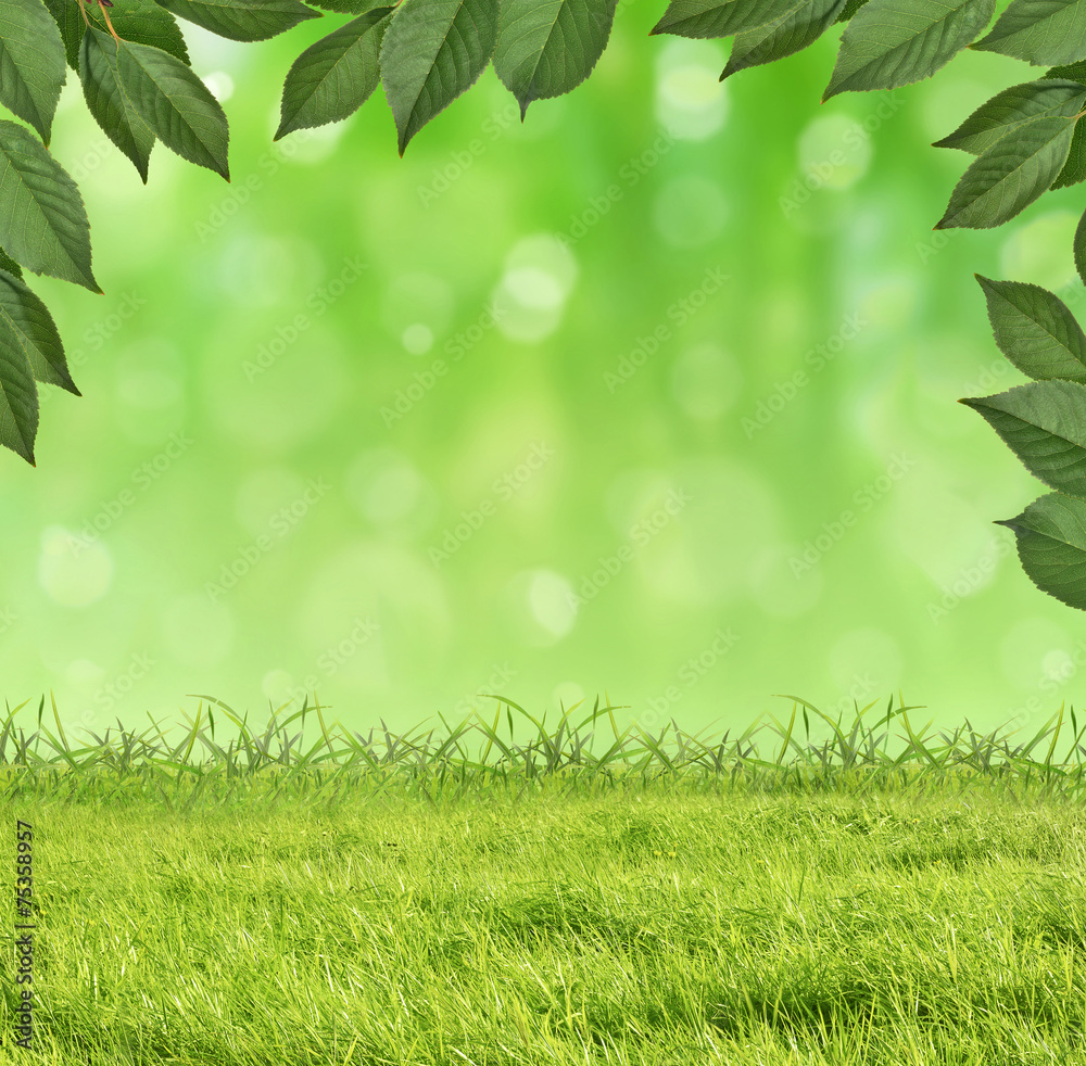 Fototapeta premium bright green background with grass and foliage