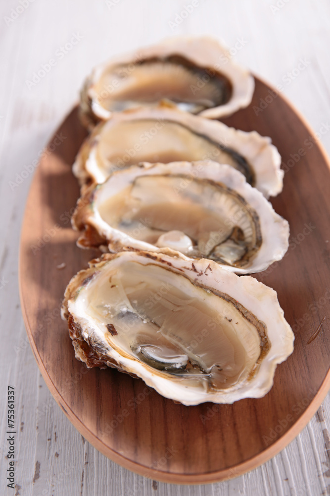 oyster oyster