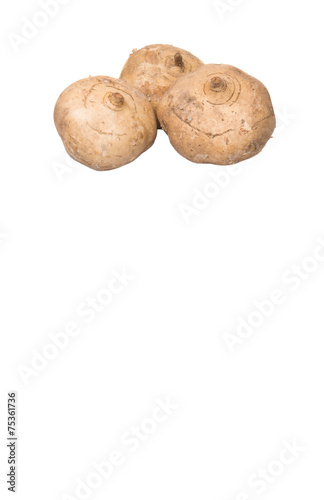 Jicama or Mexican yam over white background 