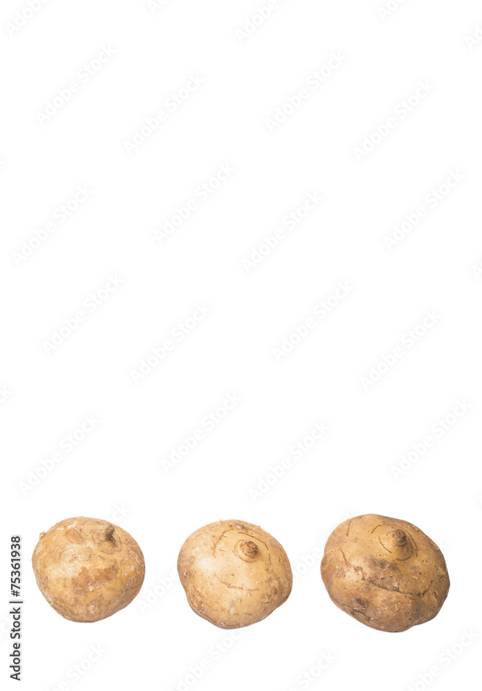 Fototapeta premium Jicama or Mexican yam over white background 