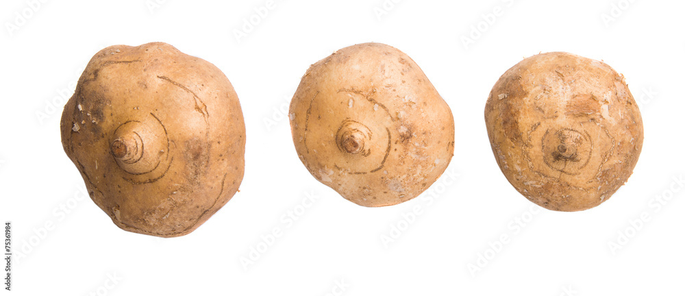 Fototapeta premium Jicama or Mexican yam over white background 