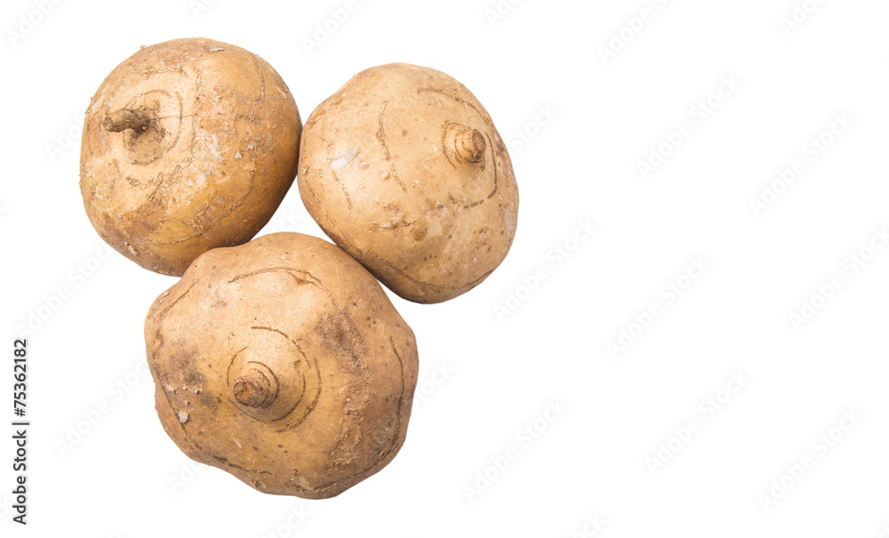 Fototapeta premium Jicama or Mexican yam over white background 
