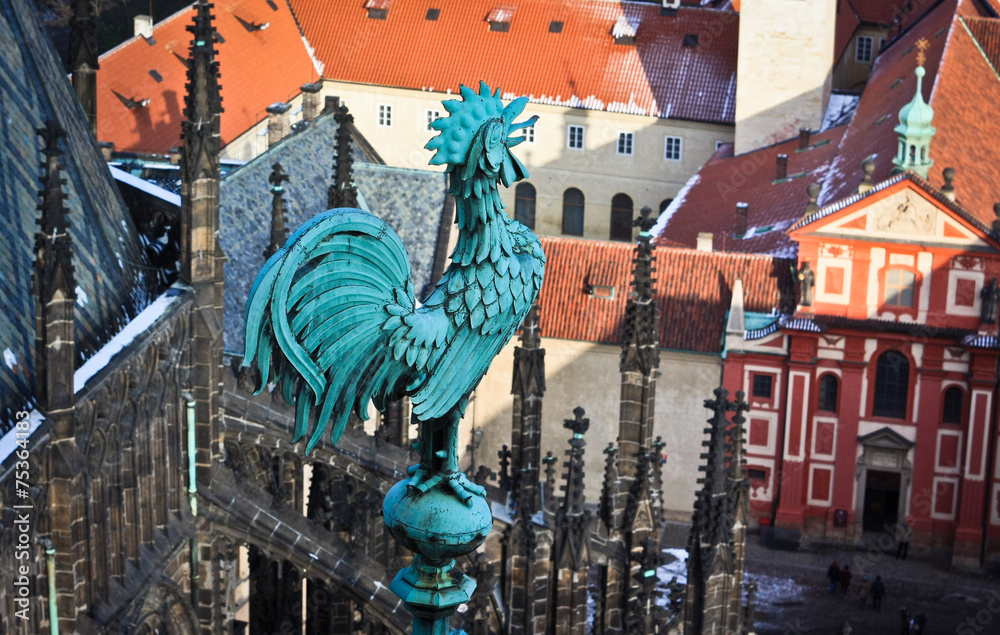 Fototapeta premium At the top