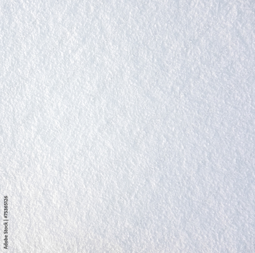 fresh snow fresh snow
