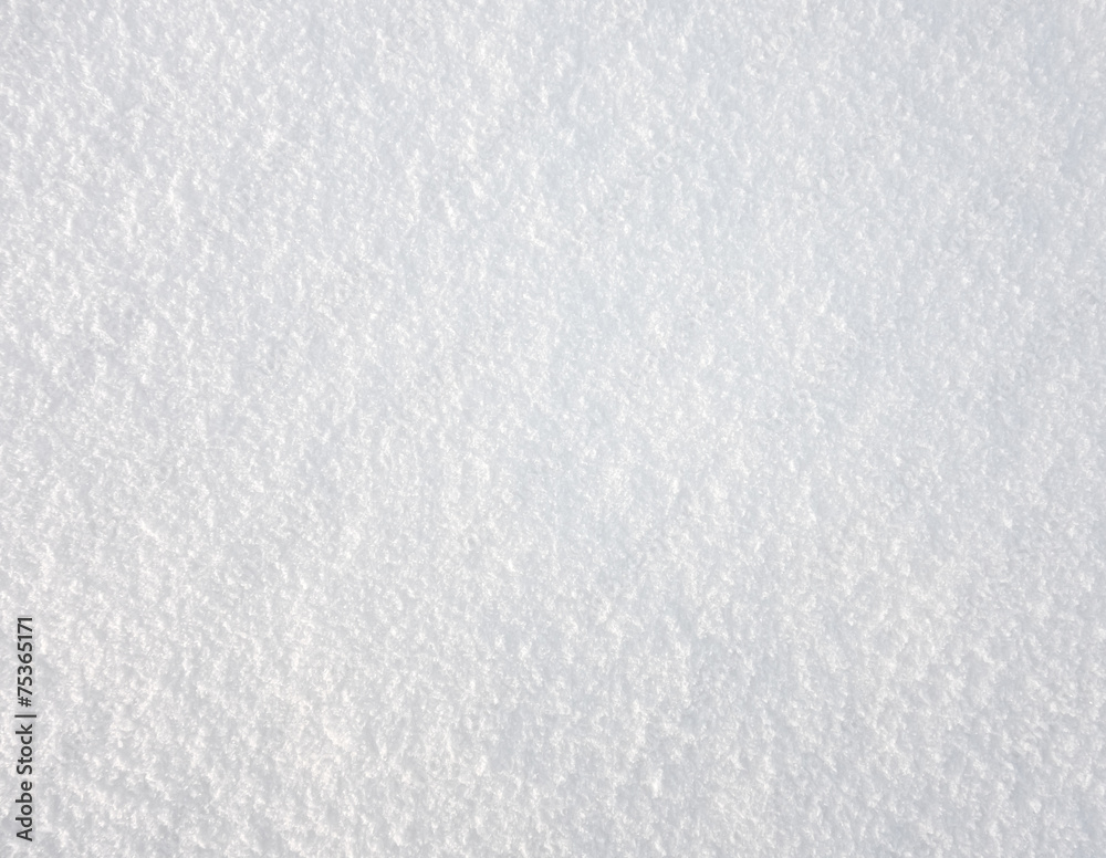 Obraz premium fresh snow