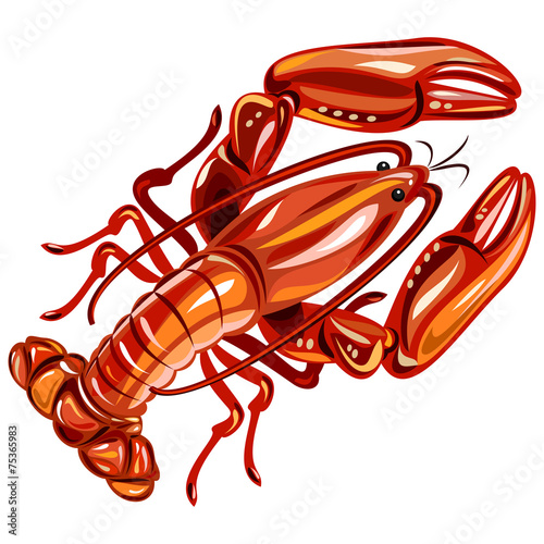 Crayfish