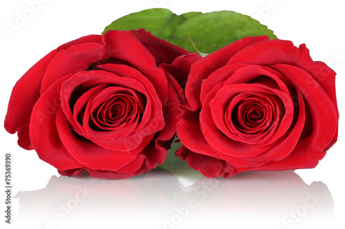 Rote Rosen zum Valentinstag, Muttertag oder Geburtstag