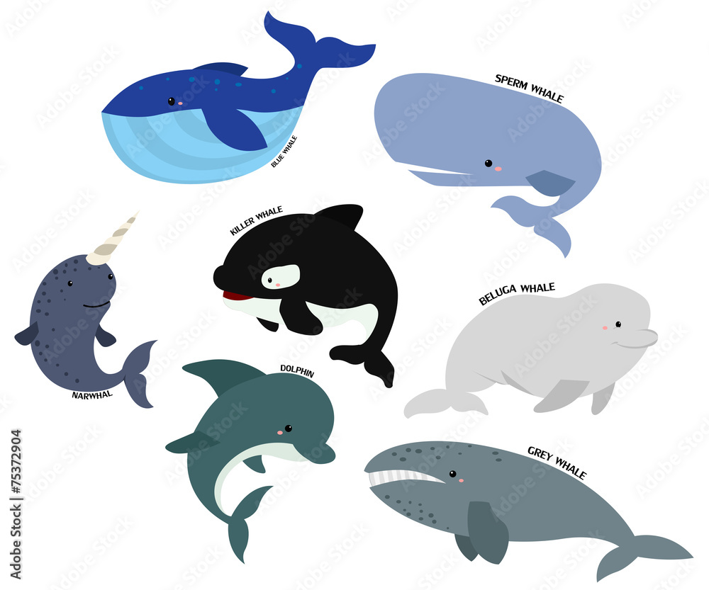 Obraz premium Whale vector set