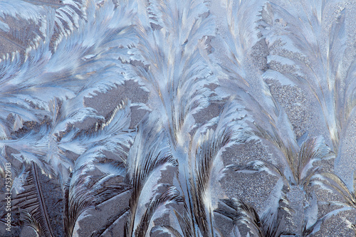 Frost on the window