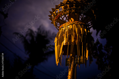 Bali Götternacht photo