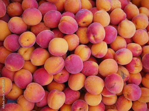 apricot market organic