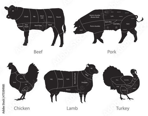 animals silhouettes with entitled meat cuts photo