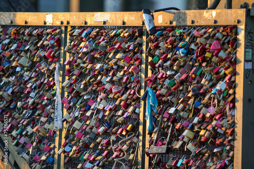 Locks on the Love Bridge