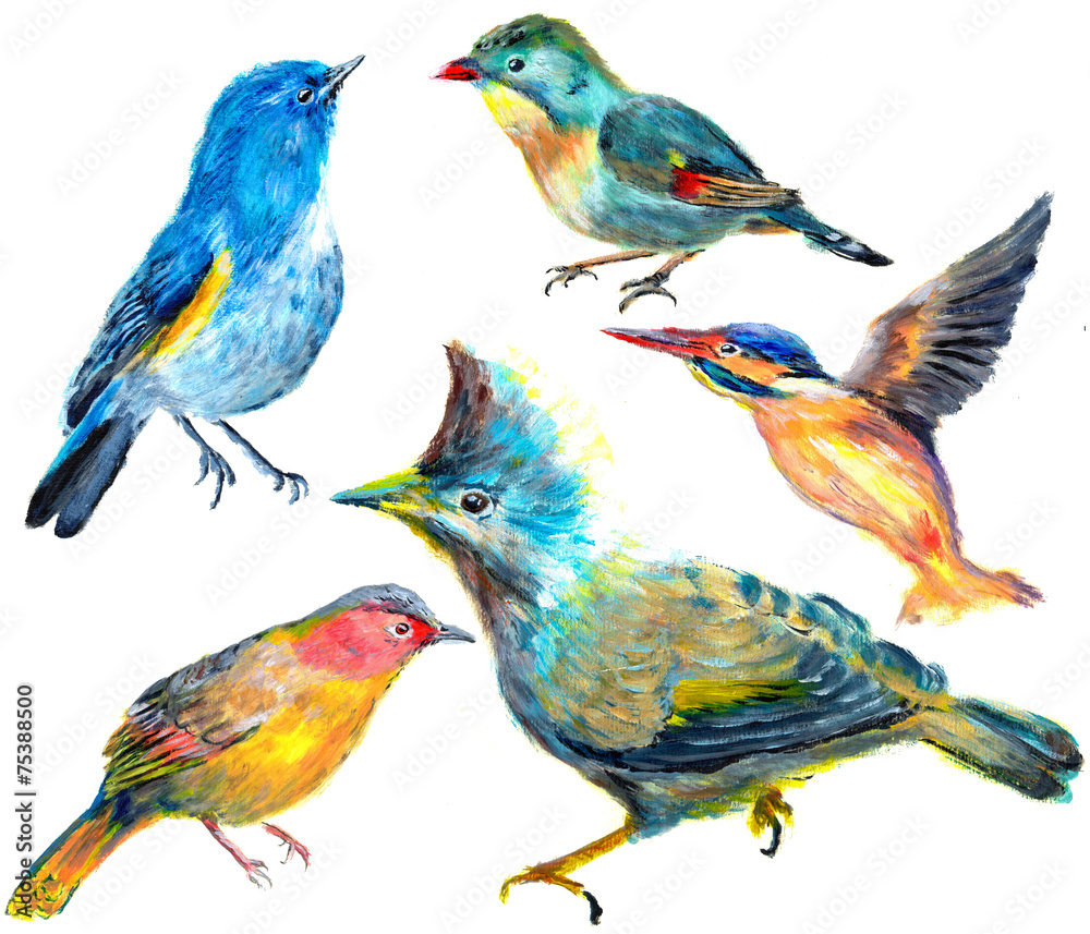 Obraz premium hand draw bird