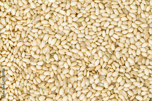 background and texture of sweet brown rice