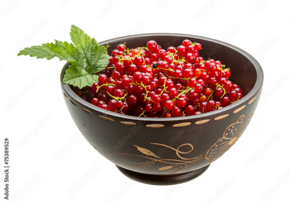 Red currant Red currant