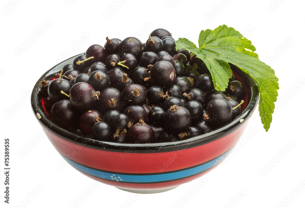 Black currant Black currant