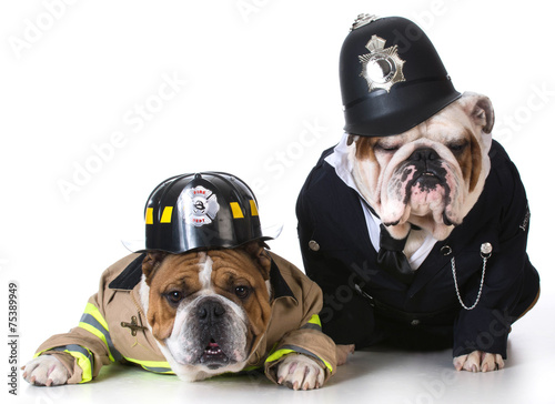 dog firefighter on policeman