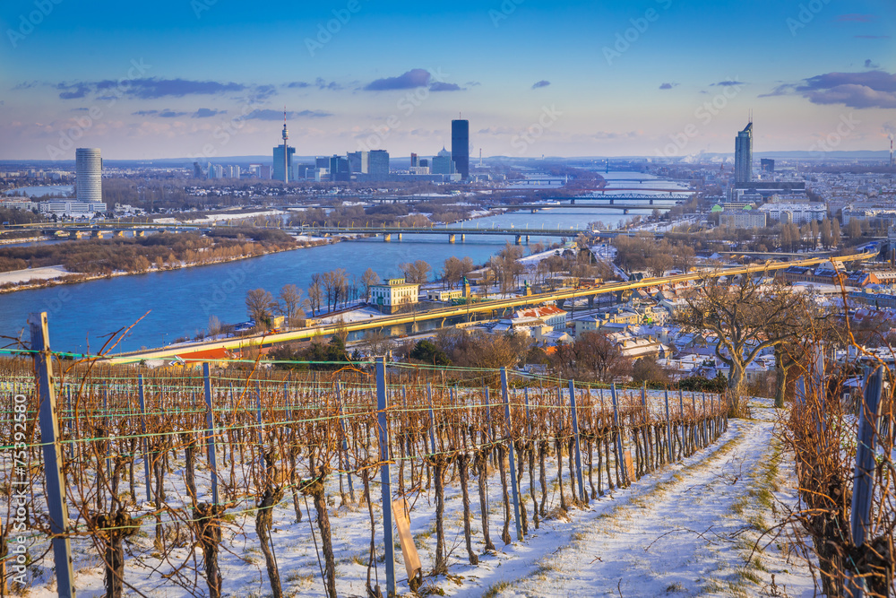 Fototapeta premium View of Vienna #1