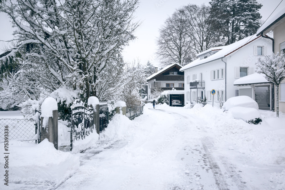 typical winter scenery