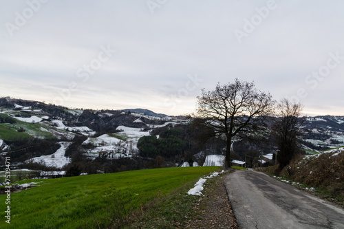 Paesaggio collinare innevato photo
