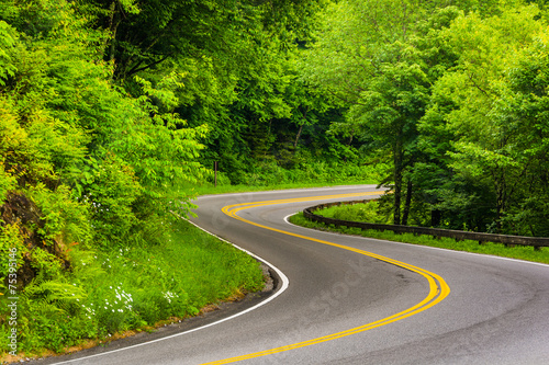 Curve on Newfound Gap Road at Great Smoky Mountains National Par photo