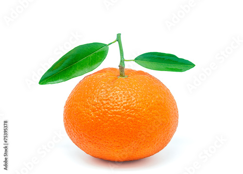 Valencia oranges 5